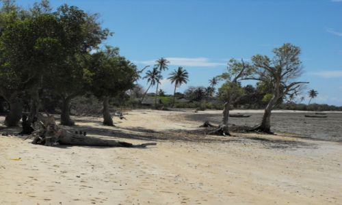Zdjcie KENIA / wyspa Kinazini / wybrzee / kenijskie wspomnienia