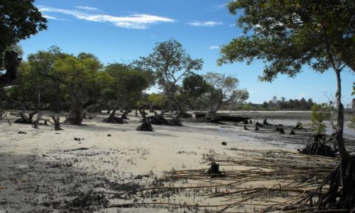 Zdjcie KENIA / wyspa Shimoni / wybrze / kenijskie wspomnienia