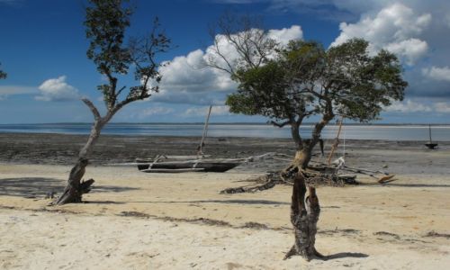 Zdjecie KENIA / wyspa Shimoni / wybrze / kenijskie wspomnienia