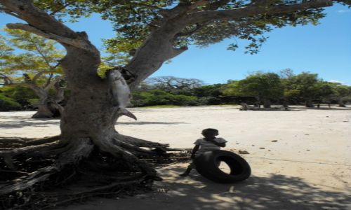 Zdjecie KENIA / wyspa Shimoni / wybrze / kenijskie wspomnienia