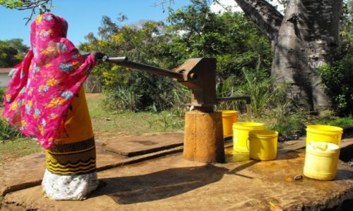 Zdjecie KENIA / Shimoni / wioska / scenki z ycia wioski Shimoni