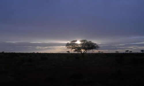 Zdjęcie KENIA / Tsavo East / Satao Camp / Poranek