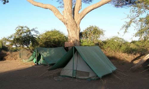KENIA / . / P.N. Amboseli / nasz obz
