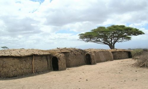 KENIA / . / P.N. Amboseli / chatki Masajw