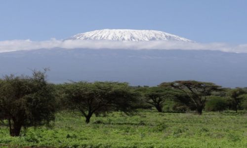 Zdjecie KENIA / - / Amboseli NP / widok na Kilimandaro