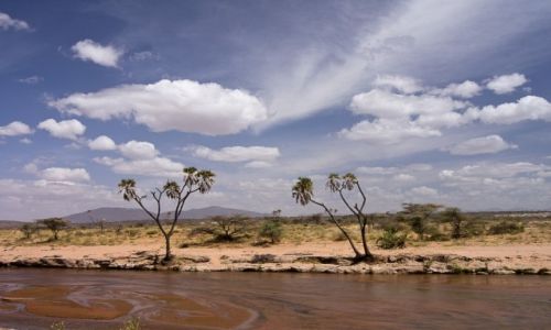 Zdjecie KENIA / NP Samburu / NP Samburu / Kolory Afryki