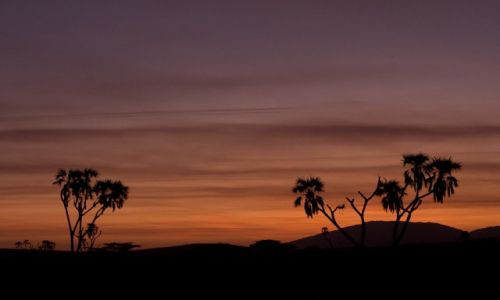 Zdjcie KENIA / NP Samburu / NP Samburu / Nocne kolory Afryki