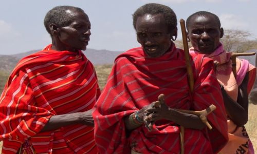 Zdjcie KENIA / NP Samburu / NP Samburu / Starszyzna