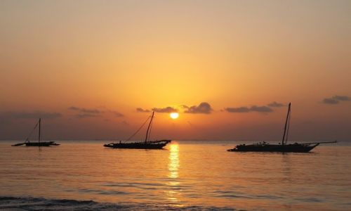 Zdjęcie KENIA / Bamburi / Bamburi / Poranne przebudzenie