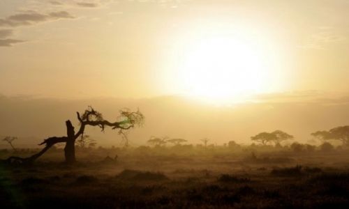 Zdjecie KENIA / - / A.N.P / Amboseli National Park