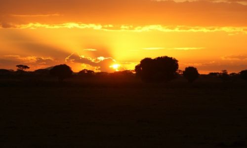 Zdjecie KENIA / Park Narodowy Tsavo / Tsavo East / Safari
