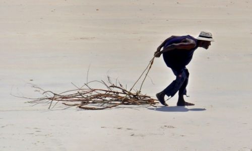 Zdjcie KENIA / - / Mombasa / Codzienno