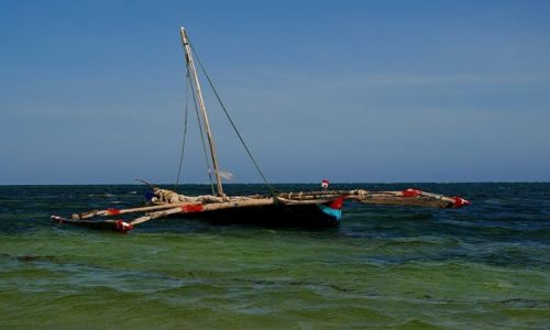 Zdjcie KENIA / Mombasa / Mombasa / boat