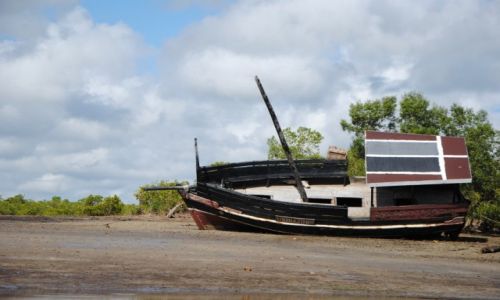 Zdjecie KENIA / Kinazini  / Kinazini / Odpyw