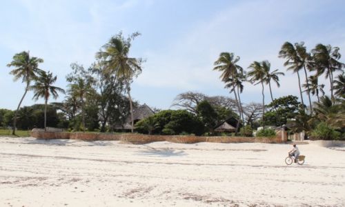 Zdjecie KENIA / Diani Beach / Diani Beach / plaa