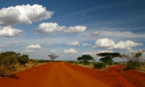 Zdjecie KENIA / - / TSAVO EAST / Tsavo