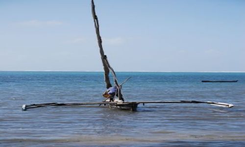 Zdjęcie KENIA / WYBRZEŻE / OKOLICE MOMBASY / PLAŻA