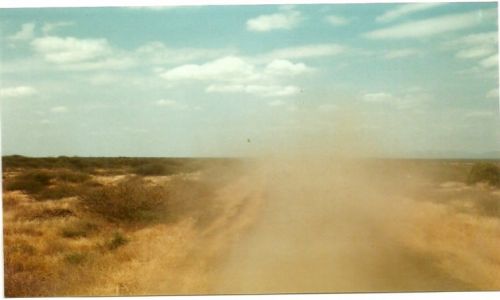 Zdj�cie KENIA / P�n. Kenia / Moyale-Marsabit / Kurz