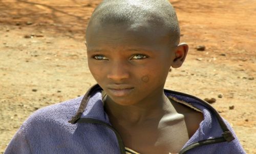 Zdjecie KENIA / Mombasa / Tsavo West / czy te oczy mog kama