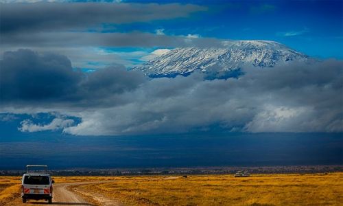 Zdjecie KENIA / Park Amboseli / Park Amboseli / Bezdroa Kenii
