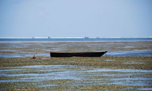 Zdjecie KENIA / Wybrzeże / Wbrzeże / W oczekiwaniu na pasażerów