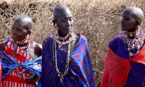 Zdjecie KENIA / pd Kenia / Amboseli / Masajki