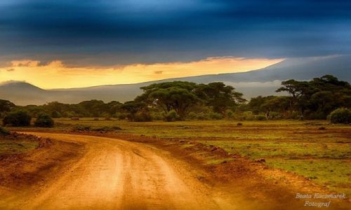 Zdjcie KENIA / Park Amboseli / Park Amboseli / Wschd soca w Amboseli