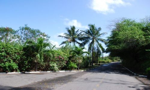 Zdjęcie KENIA / Wybrzeże / Teren przy Holelu Palm , Coral Beach / Widoczek 2