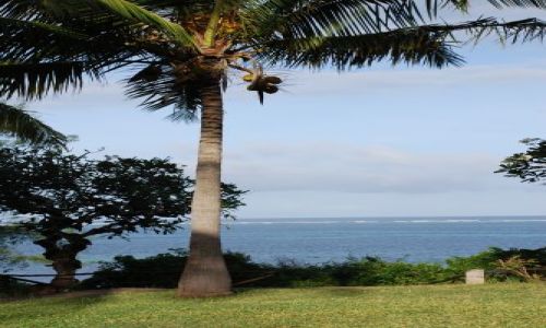 Zdjcie KENIA / Wybrzee / Teren przy hotelu Shanzu Palm i Coral Beach / Widoczek
