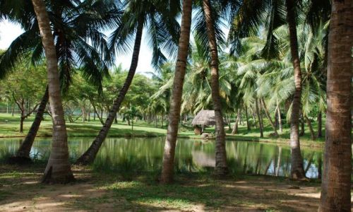 Zdjecie KENIA / Wybrzeże / Coral Palm Beach / ...