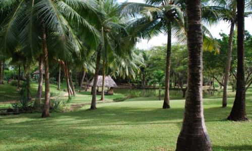 Zdjęcie KENIA / Wybrzeże / Coral Palm Beach / ... 2