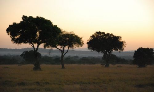 Zdjęcie KENIA / Masai Mara / Safari Masai Mara / WSCHÓD SŁOŃCA NA SAFARI