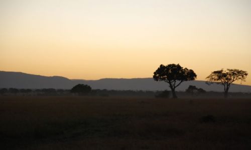Zdjęcie KENIA / MASAI MARA / SFARI MASAI MARA / Wschód słońca 2