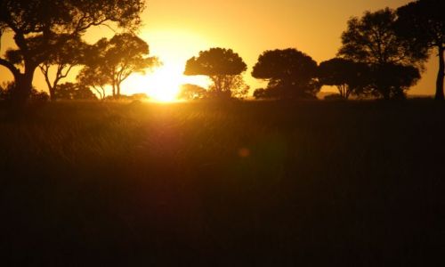 Zdjecie KENIA / MASAI MARA / SAFARI MASAI MARA / Wschód słońca 5