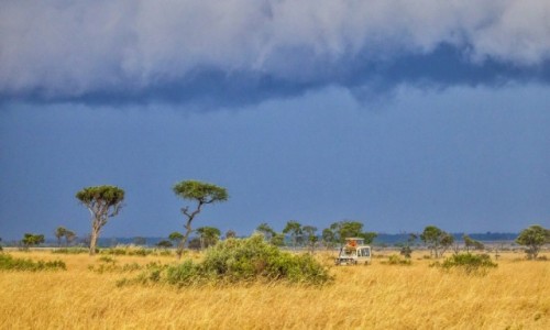 Zdjcie KENIA / Masai Mara / Mara Triangle / Off to safari!
