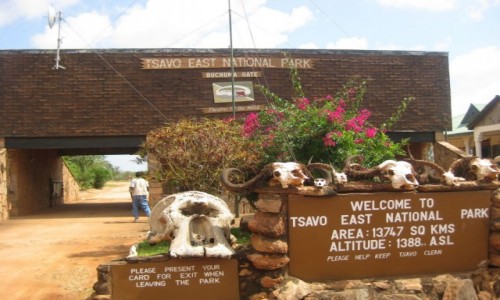 Zdjecie KENIA / Tsavo / Tsavo National Park / Tsavo