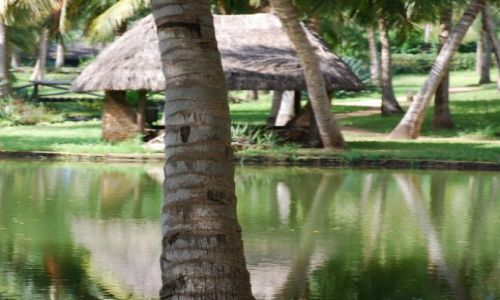Zdjęcie KENIA / Okolice Mombasy / okolice Mombasy / Teren należący do Hotelu Shanzu