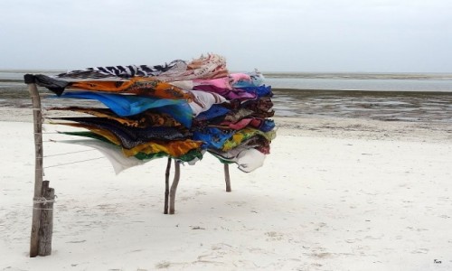 Zdjecie KENIA / Mombasa / Mombasa / Kolor tsknoty