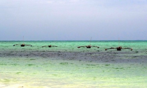 Zdjecie KENIA / Mombasa / Kenia/Ocean Indyjski / Ngalawa