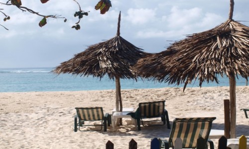 Zdjcie KENIA / Mombasa / Diani Beach / Diani Beach
