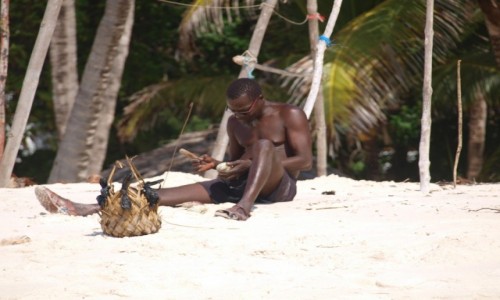 Zdjcie KENIA / Diani Beach, Mombasa / Diani Beach / Kenia