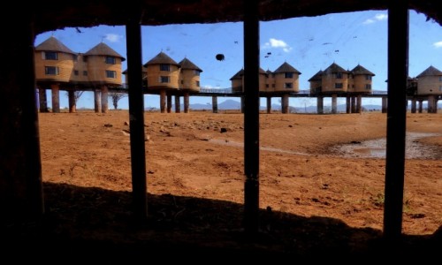 Zdjęcie KENIA / Kenia Wschodnia / Tsavo East / Na kurzej nóżce