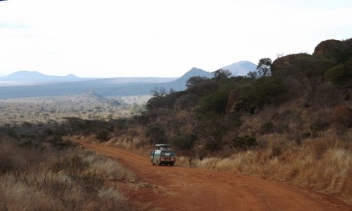 Zdjecie KENIA / kenia / kenia / kenia