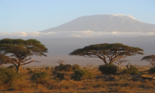 Zdjecie KENIA / kenia / kenia / kenia