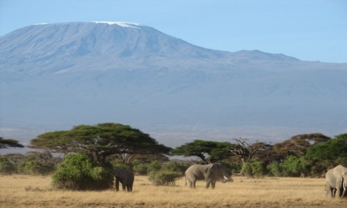 Zdjecie KENIA / kenia / kenia / kenia