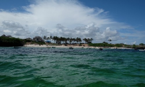 Zdjecie KENIA /  miasto Milindi ,region Kilifi / wybrzee Oceanu Indyjskiego / plae Malindi cd