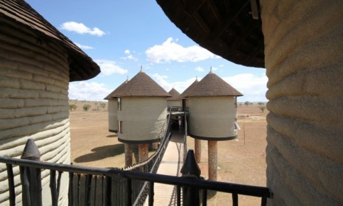 Zdjecie KENIA / Taita Hills / Sarova Salt Lick / Hotel niczym pasieka....