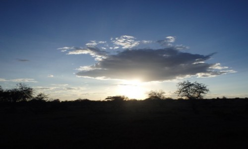 Zdjęcie KENIA / Taita Hills / Taita Hills / Budzi się nowy dzień...