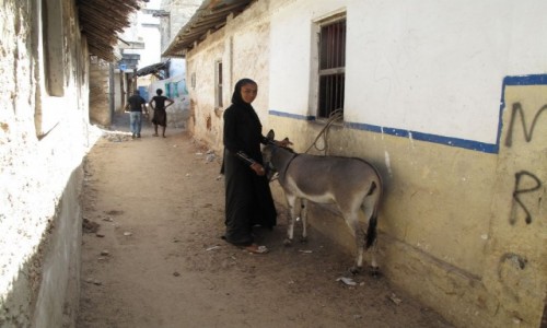 Zdjęcie KENIA / Kenia / Lamu / Lamu