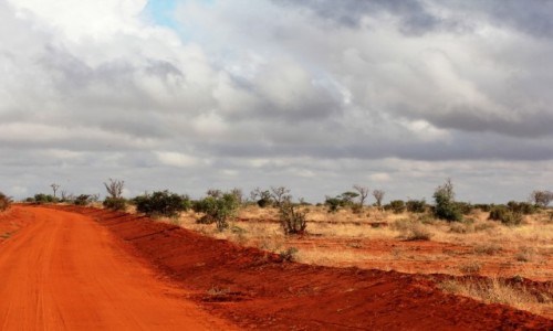 Zdjecie KENIA / Tsavo East / Tsavo West / Czerwona jak cega....